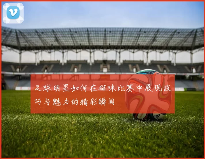 足球明星如何在猫咪比赛中展现技巧与魅力的精彩瞬间
