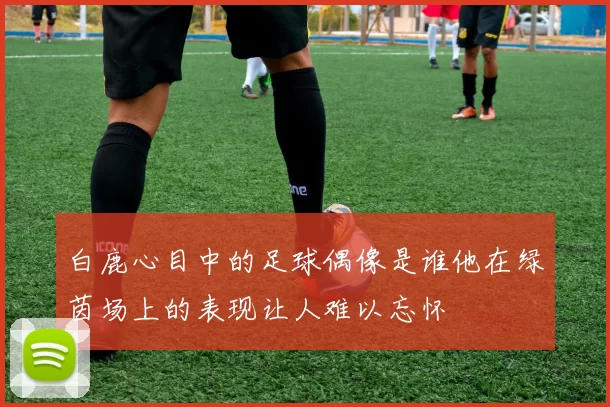 白鹿心目中的足球偶像是谁他在绿茵场上的表现让人难以忘怀